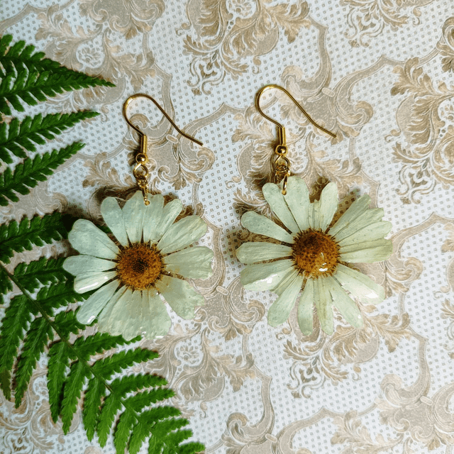 Marguerites 
