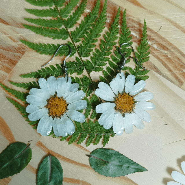 Marguerites 