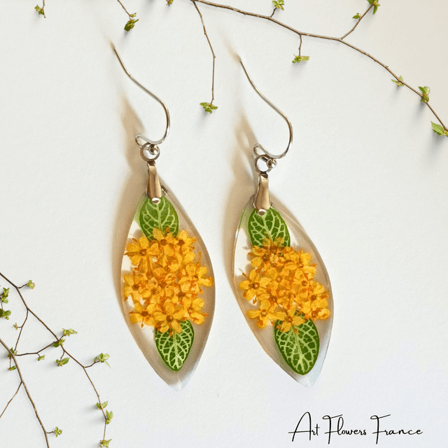  Boucles d&#039;oreilles la feuille de fittonia le sureau